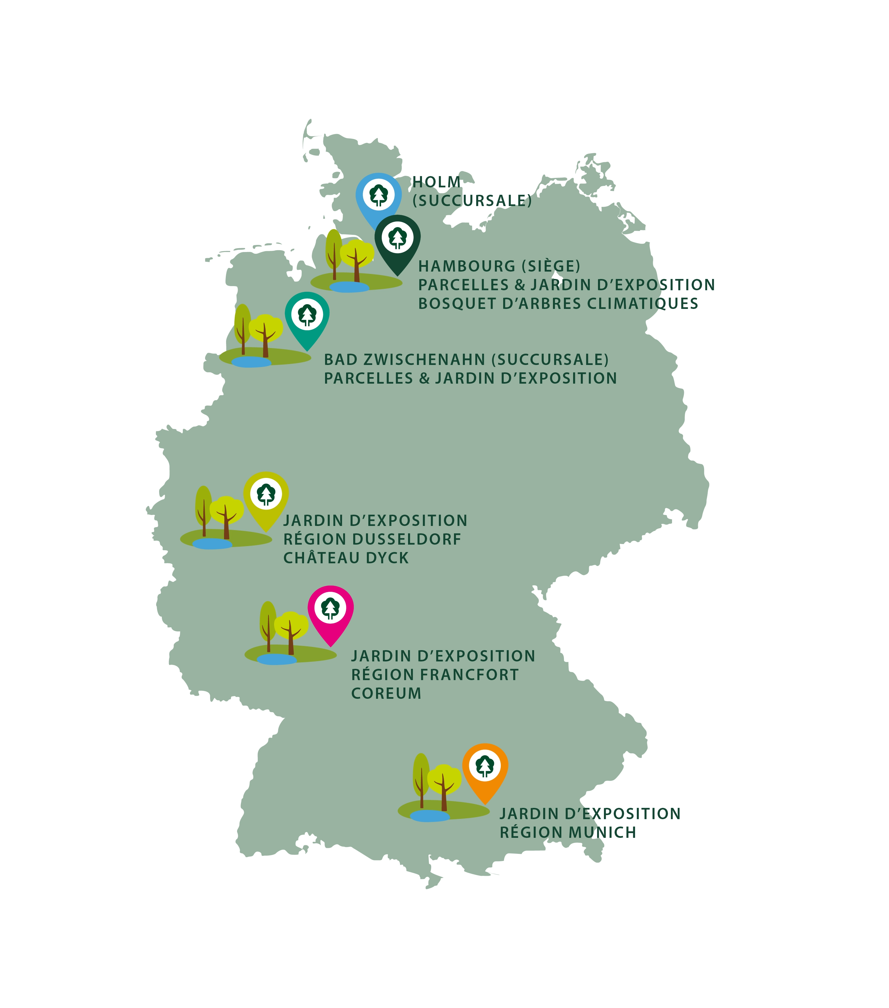 Les sites de la pépinière Lorenz von Ehren, l'une des principales pépinières d'Europe. Que ce soit à Hambourg, Düsseldorf, Francfort, Munich ou Berlin, nous vous proposons l'ensemble de la gamme de plantes ligneuses produites par nos soins ou en tant que 